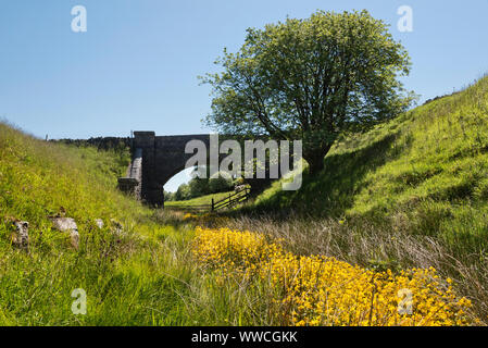 The track-bed of the disused Wensleydale railway line near Garsdale, Yorkshire Dales National Park, UK. Stock Photo