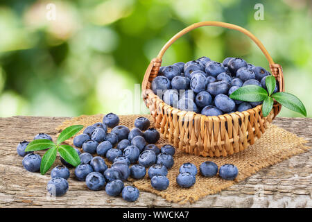 fresh ripe blueberry in wooden basket on table and white background. Stock Photo
