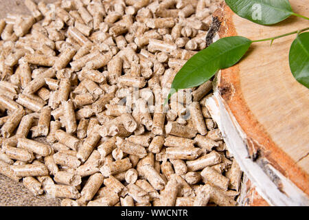 Wood pellets, birch and twig with leaves. Biomass Pellets- cheap energy ...