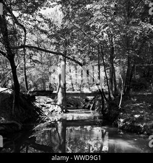 The Woodlands TX USA - 03-26-2019  -  Wooden Bridge Over a Creek 4 in B&W Stock Photo