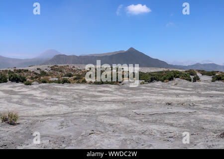 Volcanic ash and dust-covered peak of Batok volcano in Bromo caldera. The dwarf green bushes grow in the arid sand desert, in the sunburned black sand Stock Photo