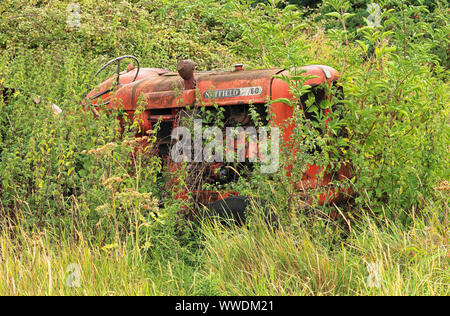 Abandoned Vintage Nuffield tractor with weeds growing out of it Stock Photo