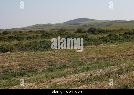 Haymaking at the Boknes Grassland, Eastern Cape, South Africa Stock Photo