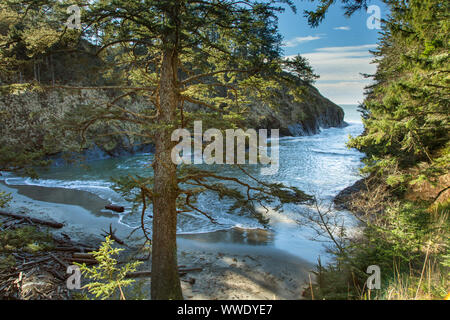 Dead Mans Cove, Cape Disappointment, Long Beach, Wa Stock Photo