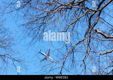 white plane in the sky, the plane can be seen through the branches of trees Stock Photo