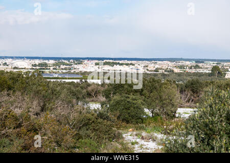 Beautiful Olive trees in an olive grove in the snow, Apulian landscape after a snowfall, unusual cold winter in Salento Stock Photo