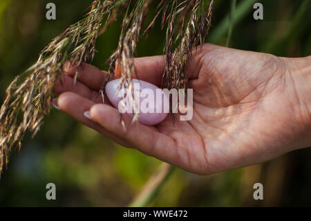 Female hand holding yoni egg made from rose quartz stone on spikelets background. Female health concept, vumfit, imbuilding or meditation Stock Photo