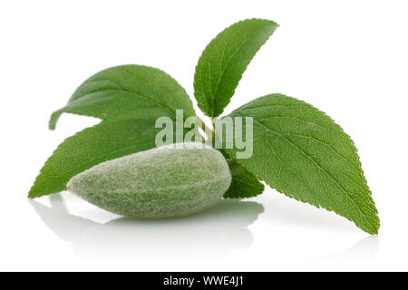 Fresh green almond with leaves isolated on white background Stock Photo
