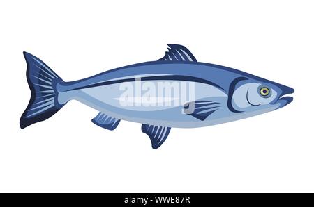 Raw whole salmon icon isolated on white background, fresh fish, product, healthy food, vector illustration. Stock Vector