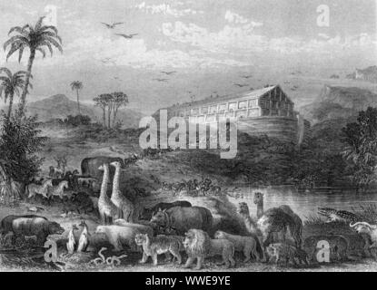 AJAXNETPHOTO. 1890 (APPROX). ENGLAND. - NOAH'S ARK - LATE 19TH CENTURY STEEL ENGRAVING OF ANIMALS ENTERING NOAH'S ARK TWO BY TWO ON MOUNT ARARAT IN AN ENDEAVOUR TO ESCAPE THE GREAT FLOOD. PHOTOGRAPHER:UNKNOWN © DIGITAL IMAGE COPYRIGHT AJAX VINTAGE PICTURE LIBRARY SOURCE: AJAX VINTAGE PICTURE LIBRARY COLLECTION REF:()AVL SHH ARK ENGR 1890 Stock Photo