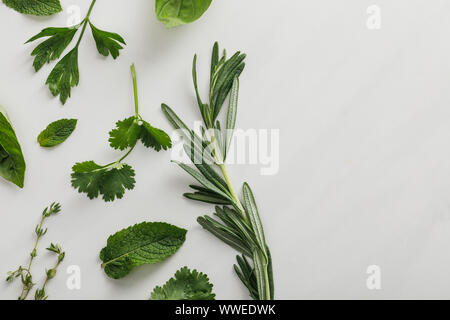 Top view of basil, cilantro, parsley, rosemary and thyme sprigs on white background Stock Photo