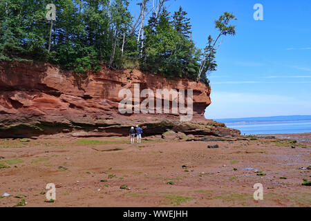 Bay Of Fundy, Nova Scotia, Burntcoat Head Provincial Park, Which Has ...