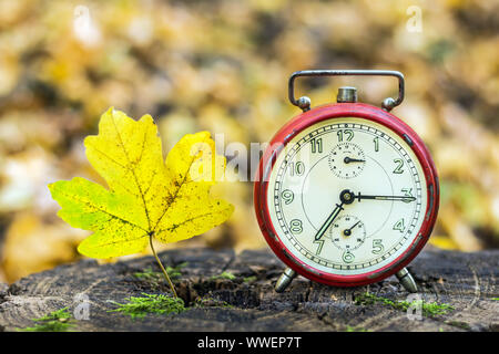 Vintage alarm clock and a autumn leaf on the stump in the forest on a blurred background. Stock Photo