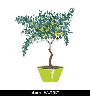 Lemon tree in pot isolated on a white. Hand drawn vector illustration. Stock Vector