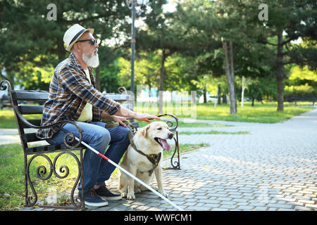 Blind mature man with guide dog sitting on bench in park Stock Photo