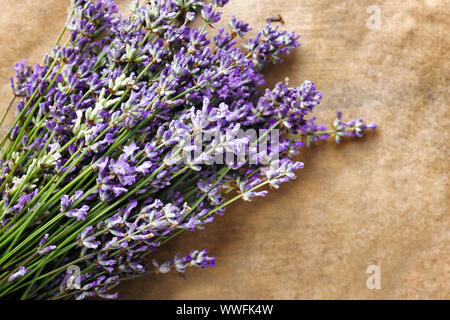 Beautiful lavender flowers on parchment Stock Photo