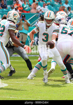 DeVante Parker of the Miami Dolphins at AT&T Stadium on September 22