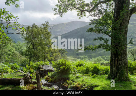 Lower slopes of Dovedale English Lake District in late Summer 2019 Stock Photo