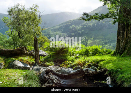 Lower slopes of Dovedale English Lake District in late Summer 2019 Stock Photo