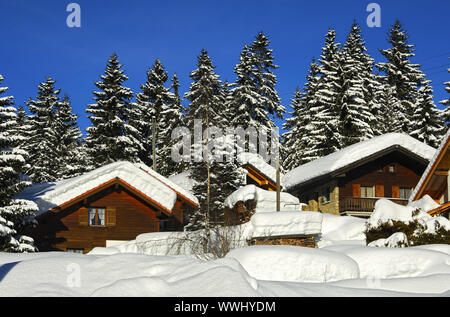 Deep snow-covered log cabins at the edge of the forest Stock Photo