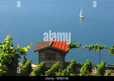 Vineyard hut in Lavaux on Lake Geneva Stock Photo