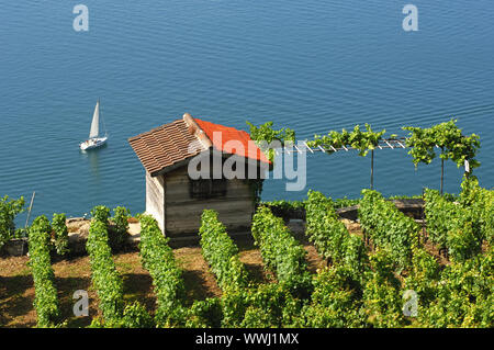 Winegrower's hut on Lake Geneva Stock Photo