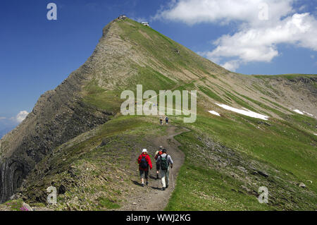 Hikers on the way to the Faulhorn summit Stock Photo