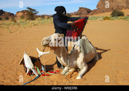 Tuareg saddles a Mehari riding dromedary Stock Photo