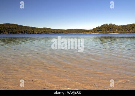 Lake McKenzie, Fraser Island, Queensland, Australien Stock Photo