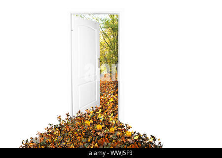 Door to new world. Autumn version. Easy editable image. Stock Photo