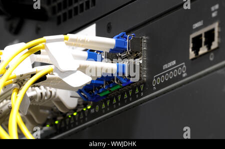 back side of switch with fiber optic SFP ports and LC connectors Stock Photo