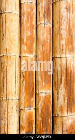 Bamboo cane pattern texture background in brown color Stock Photo