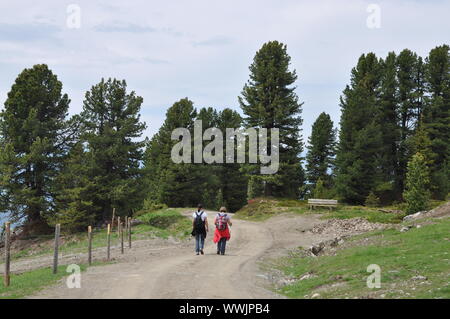 Hiking trail in the Zillertal valley Stock Photo