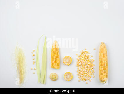 Ear of maize,maize kernels,corn silk and stigma  for doing tea and herbal drug.Summer vegan snack. Healthy diet. Copy space.Horizontal. Stock Photo