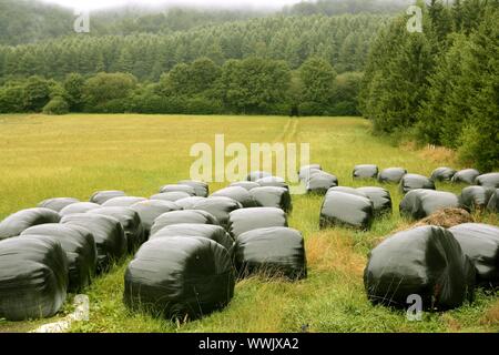 Black plastic wrap cover for wheat cereal bales outdoor Stock Photo