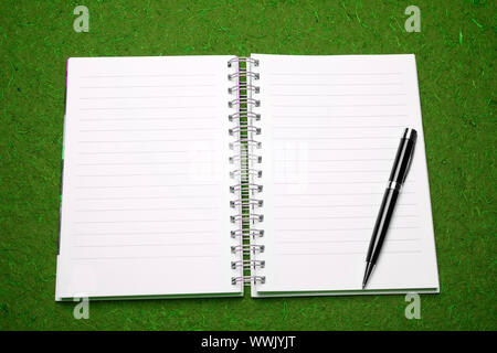 Clear page on diary ready for writing, pencil, green background Stock Photo