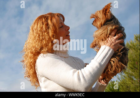 woman withe red hair watching her little yorkshire terrier Stock Photo