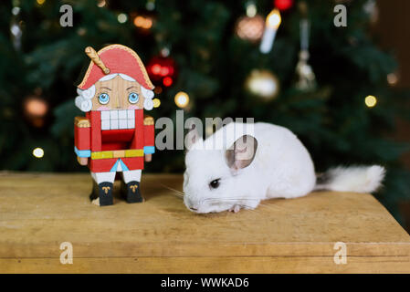 Happy Chinese New Year 2020 year of rat. Portrait of cute white chinchilla on the background of the Christmas tree in the lights, symbol of new year Stock Photo
