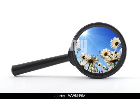 finde a flower or nature with a magnifying glass Stock Photo