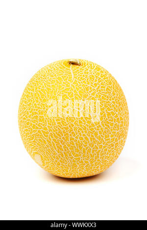 galia melone isolated on white Stock Photo