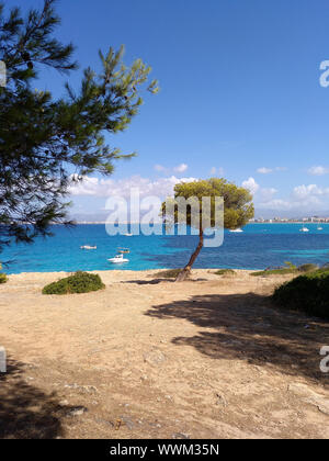 Coastline at Son Veri Nou - Mallorca Stock Photo