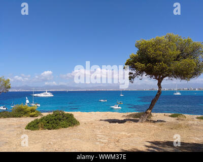 Coastline at Son Veri Nou - Mallorca Stock Photo