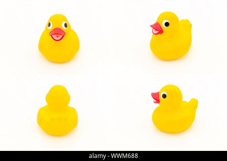 Yellow duck. (Collection 4 in 1) Stock Photo