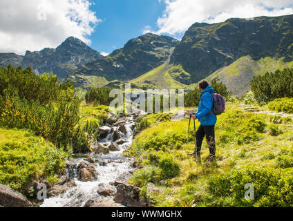 Sporty hiker near summer spring in Tatra Mountains national park, Zakopane, Poland Stock Photo