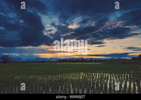 Natural scenic beautiful field sunset and storm clouds and green field agricultural background