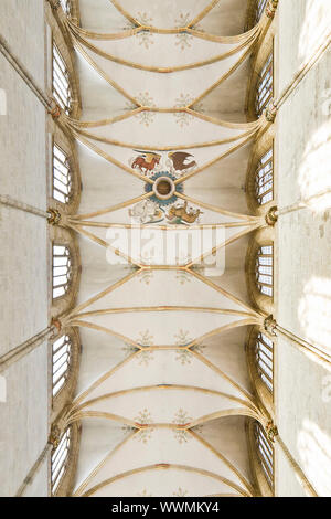An image of the famous chruch in Germany Ulm Stock Photo