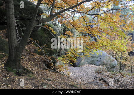 Autumn at Kleiner Bärenstein Stock Photo