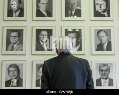 German Foreign Minister Steinmeier gives a statement in the today's Bismarck's Office in Berlin Stock Photo