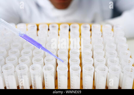 Lab Worker Adding Liquid to Test Tubes Stock Photo