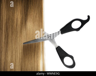 Long healthy blond hair and professional scissors over white Stock Photo